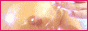 �S�������f�[�^�x�[�X DF