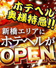 ホテヘル奥様特急!!