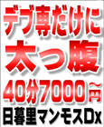 マンモスDX