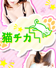 猫チカ