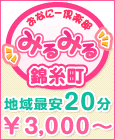 みるみる(錦糸町店)