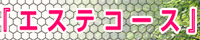新橋グリッターガール