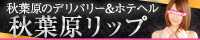 秋葉原Lip(リップ)