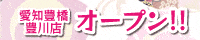 豊橋豊川ちゃんこ
