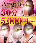 Angelo Revolution